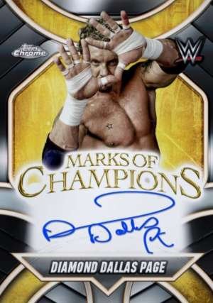 Diamond Dallas Page