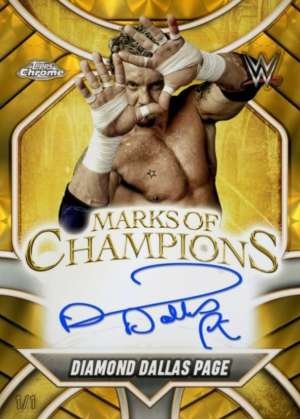 Diamond Dallas Page