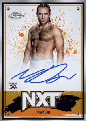 Noam Dar