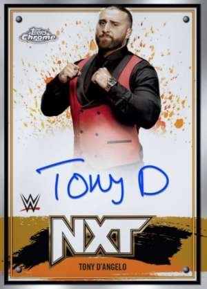 Tony D'Angelo