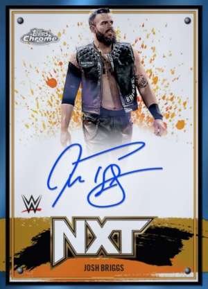 Josh Briggs