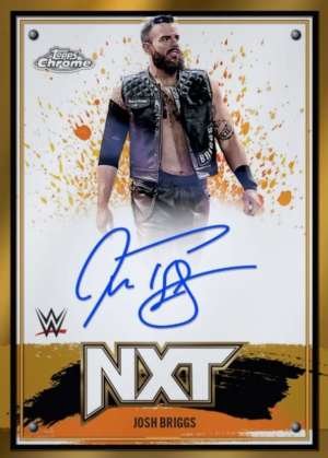 Josh Briggs