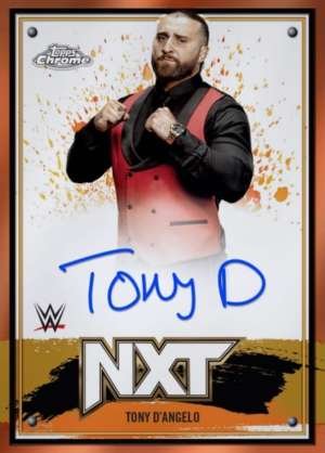 Tony D'Angelo