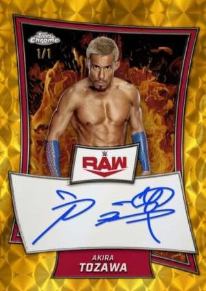 Akira Tozawa