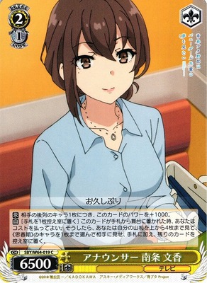 Fumika Nanjo, Announcer