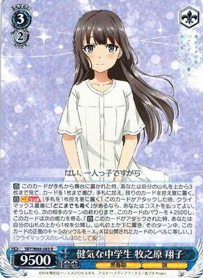 Shoko Makinohara, Brave Junior High Student