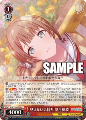 Honami Mochizuki, Unseen Feelings