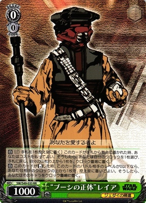 "Boushh's True Form" Leia