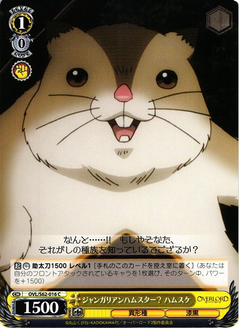 Hamsuke  Djungarian Hamster