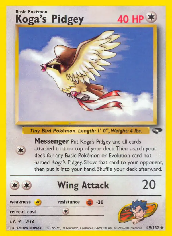 Koga's Pidgey