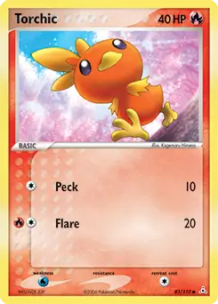 Torchic