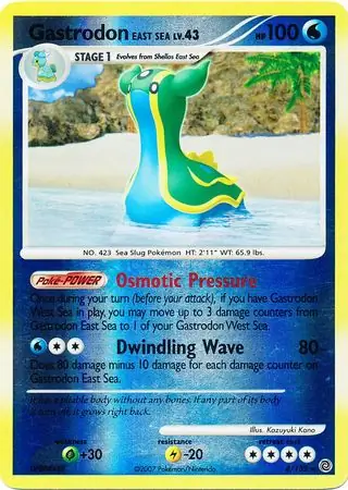 Gastrodon East Sea