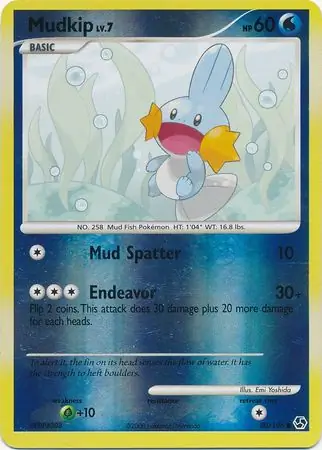 Mudkip