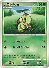 Turtwig