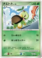 Turtwig