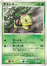 Turtwig