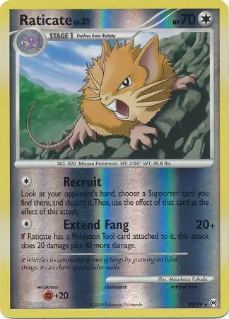 Raticate