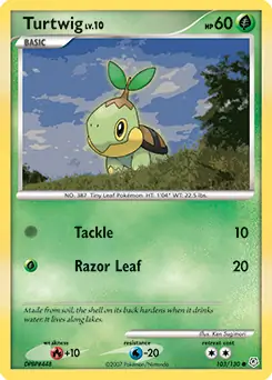 Turtwig