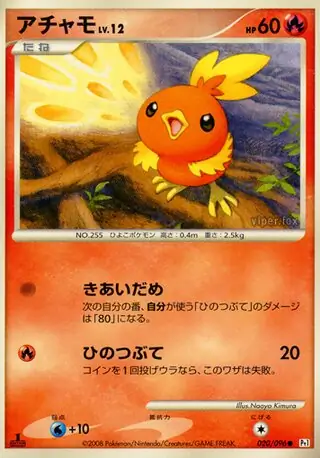 Torchic