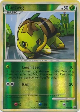 Turtwig