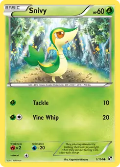 Snivy