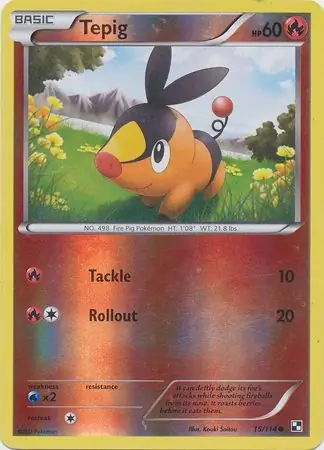 Tepig