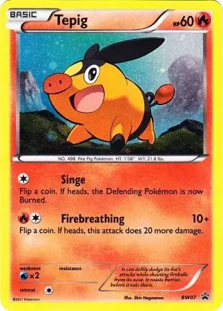 Tepig