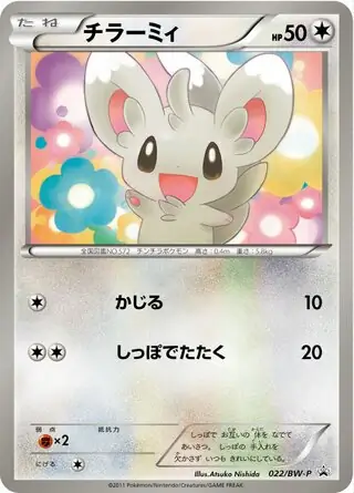 Minccino