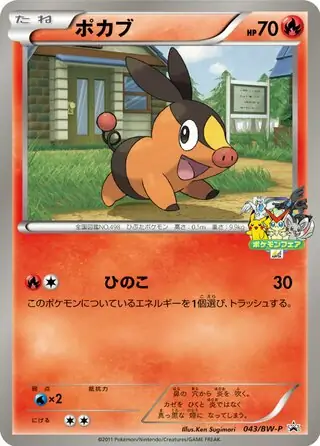 Tepig