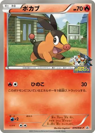 Tepig