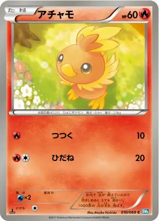 Torchic