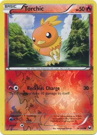 Torchic