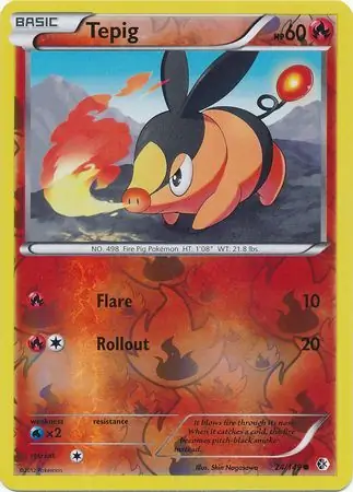 Tepig