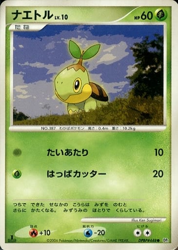 Turtwig