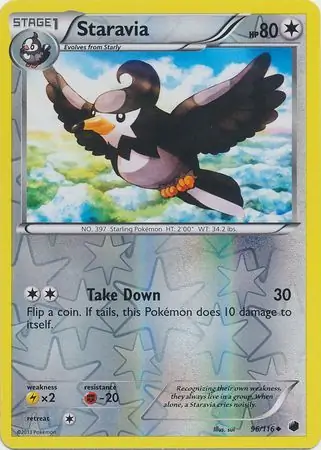 Staravia