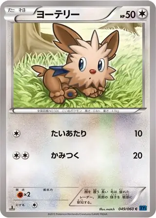 Lillipup