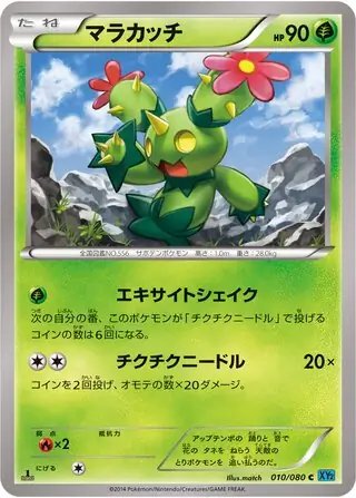 Maractus