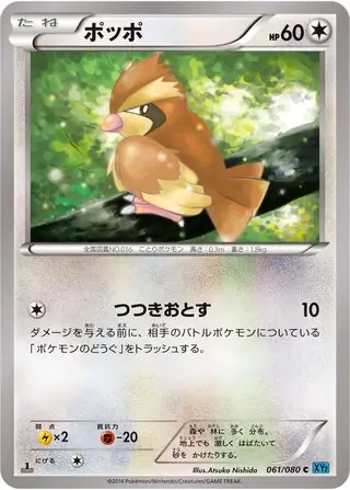 Pidgey