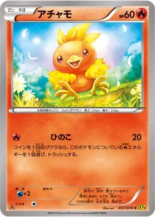 Torchic