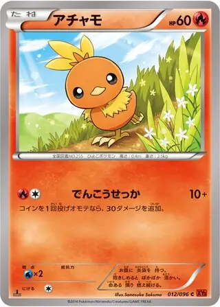 Torchic