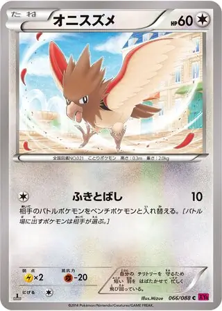 Spearow