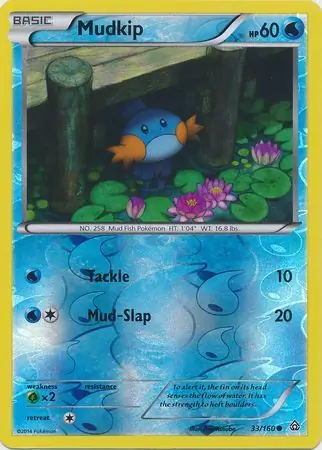 Mudkip