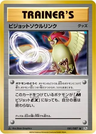 Pidgeot Spirit Link