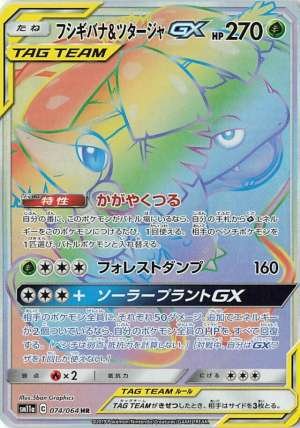 Venusaur & Snivy GX