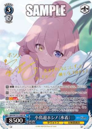 Takanashi Hoshino Swimsuit