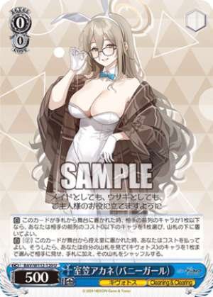 Akane Murokasa Bunny Girl