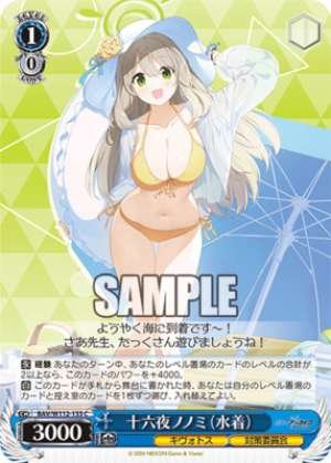 Izayoiki no Nomi Swimsuit