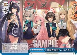 Welcome to the Advisory Committee.