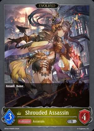 Shrouded Assassin