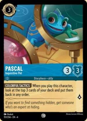 Pascal – Inquisitive Pet